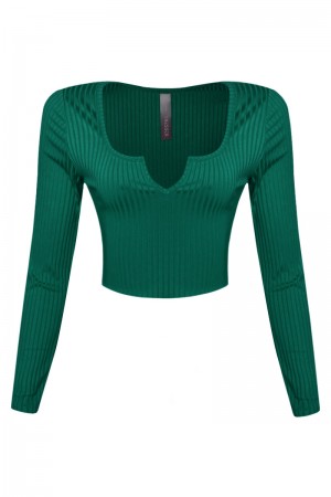 RIB LONG SLEEVE CROP TOP