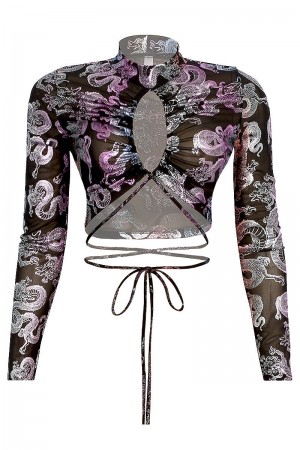 LONG SLEEVE MESH DRAGON PRINT CROP TOP