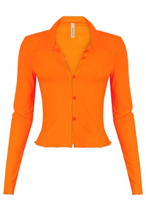 LONG SLEEVE COLLARED MESH BUTTON-UP CROP TOP