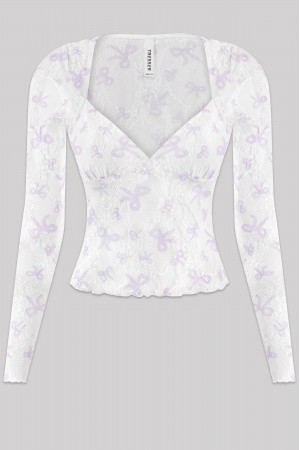 LONG SLEEVE SHEER RIBBON PRINT LACE TOP